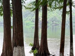 -重庆彩云湖湿地公园