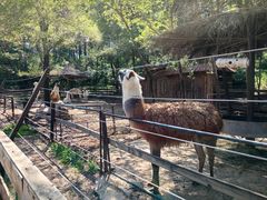 -沈阳森林动物园