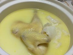 招牌花胶鸡煲翅锅-叁樓·勝记