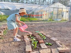 -前小桔亲子创意农场·草莓采摘·露营烧烤