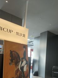 -CHIC 国潮男士发型