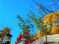 -天津五大道文化旅游区