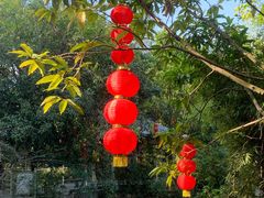 -一品烧农庄·佛山本地特色菜