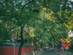 -北京国子监胡同