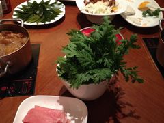 -重庆小天鹅(英雄山路店)