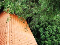 -鲤鱼塘农家山庄