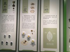 -中国茶叶博物馆(双峰馆区)