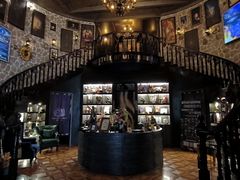 -雪灵魔法世界SHELLY’S TAROT(大良桂畔里店)