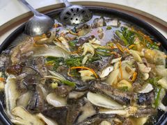 -野菌王牦牛肉汤锅
