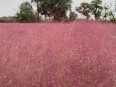 -汉长安城未央宫国家考古遗址公园