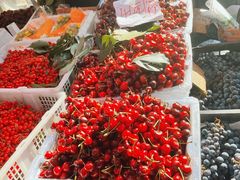 -五里多农博广场