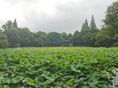 -南浔古镇
