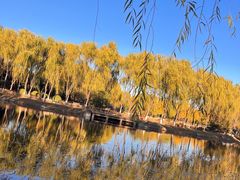 -东升八家郊野公园