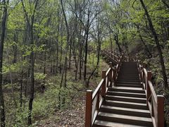-大岭沟猕猴桃谷风景区
