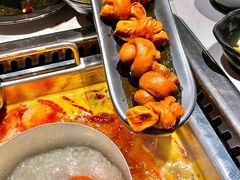 -鼎膳常火锅(华阳店)