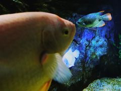 -泉城欧乐堡海洋极地世界