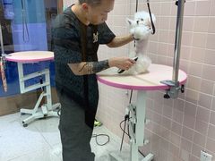 -FAELING PETS美天灵宠物(富力广场店)