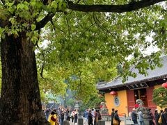 -龙华寺
