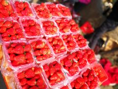 -三圣花乡旅游区