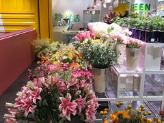 -天虹购物中心(石路店)