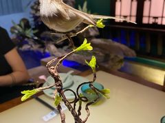-佬麻雀·新湘菜(珠海金发购物中心店)