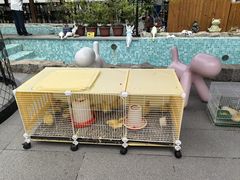 -京北渔家傲
