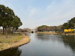 -新江湾城公园
