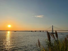 -芒洲湿地公园