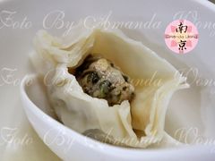 荠菜大馄饨-百年尹氏汤包(湖南路狮子桥店)