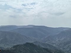 -芦芽山旅游度假区