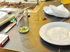 -9号乌托邦烤羊腿羊排(志华商城旗舰店)