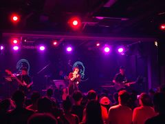 -坚果NUTS