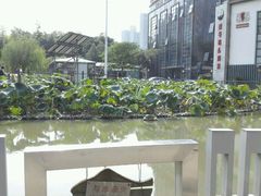 -苏州河梦清园环保主题公园