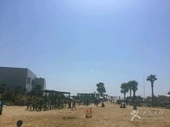 -碧海金沙