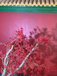 -盘子女人坊古装写真摄影(天津总店)