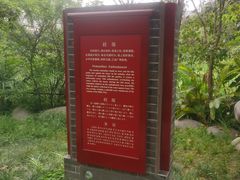 -桂湖森林公园