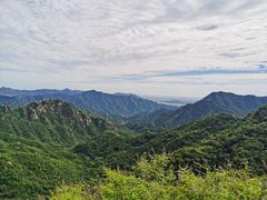 -大岭沟猕猴桃谷风景区