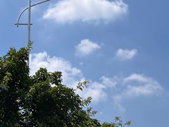 -寻味肇庆·八姑农庄·广府西江菜