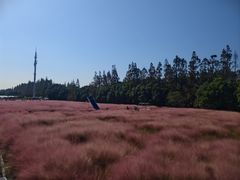 -嘉北郊野公园