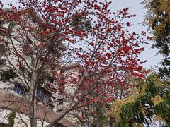-洲头咀公园