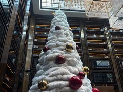 -行者书屋大堂吧 ·下午茶(南京圣和府邸酒店)