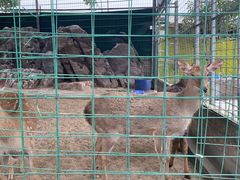 -八景休閒山莊  廣東十大名山莊