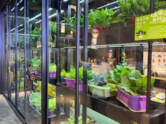 -番食园鲜食火锅(高新店)