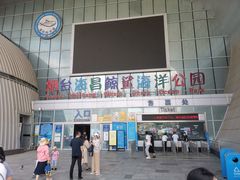 -烟台海昌鲸鲨海洋公园