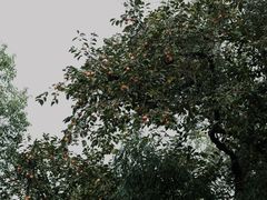 -黄公望隐居地