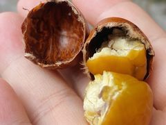 -方林富炒货店(西溪路78号本人店)