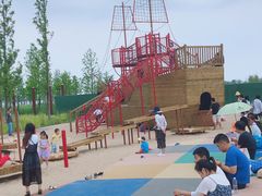 -春花秋色城市公园