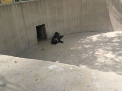 -保定市动物园