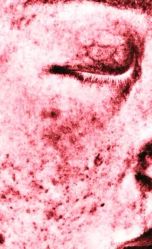 -和颜一美轻医美连锁