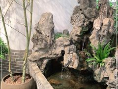 -双季花艺园艺市场(浦东店)